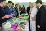 Ghani Vows to Boost Agricultural Sector